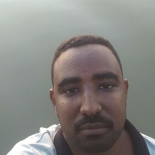 عبدالحي البلولة